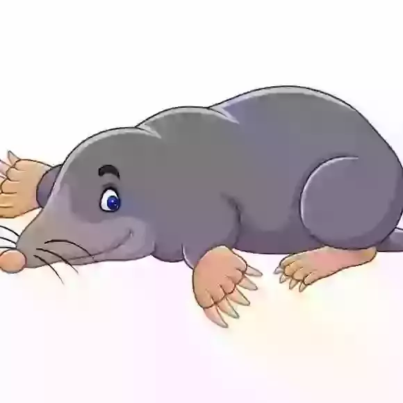 Year 4 Mole Class